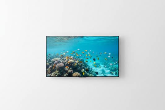 Flatscreen TV